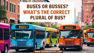 Buses or Busses
